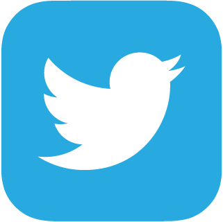 Twitter Logo Image